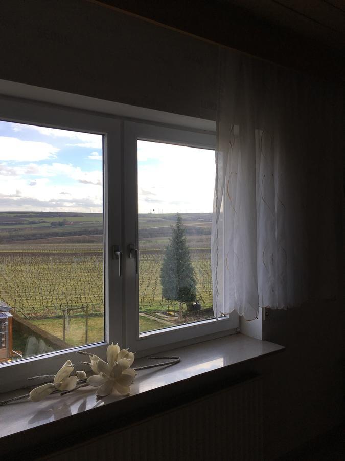 Monteurwohnung Ha-Wei -90 M2 Hangen-Weisheim Exteriör bild